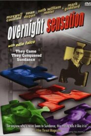 Overnight Sensation 2000 on netflix