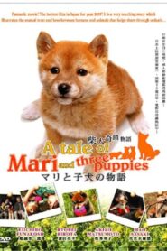 A Tale of Mari and Three Puppies 2007 on netflix