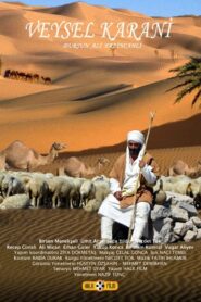 Veysel Karani 2007 on netflix
