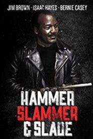 Hammer, Slammer, & Slade 1990 on netflix
