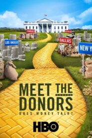 Meet the Donors: Does Money Talk? 2016 on netflix