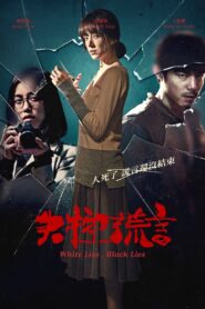 White Lies, Black Lies 2016 on netflix