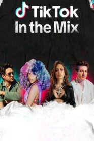 TikTok: In the Mix 2023 on netflix