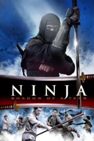 Ninja: Shadow of a Tear 2013 on netflix
