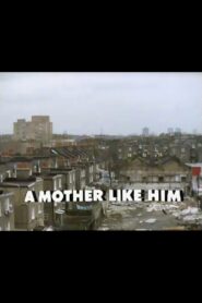 A Mother Like Him 1982 on netflix