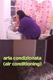 Air Conditioning 2005 on netflix