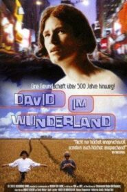 David im Wunderland 1998 on netflix