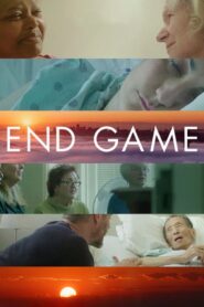 End Game 2018 on netflix