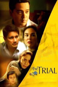 The Trial 2014 on netflix