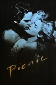 Picnic 1986 on netflix
