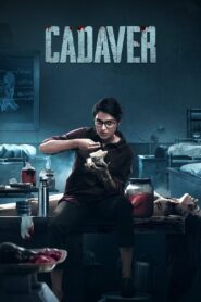 Cadaver 2022 on netflix