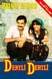Dertli Dertli 1987 on netflix