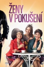 Women in Temptation 2010 on netflix