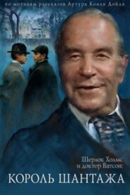 The Adventures of Sherlock Holmes and Dr. Watson: King of Blackmailers 1980 on netflix