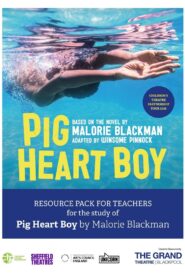 Pig Heart Boy 1999 on netflix
