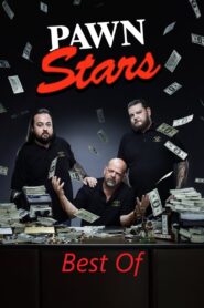 Pawn Stars: Best Of 2020 on netflix