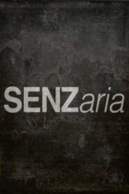 SENZaria 2014 on netflix