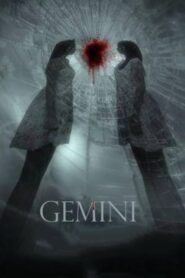 Gemini 2014 on netflix
