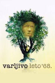 The Elusive Summer of ’68 1984 on netflix