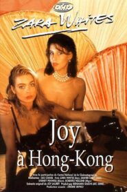 Joy in Hong Kong 1992 on netflix