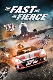 The Fast and the Fierce 2017 on netflix