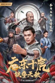Ten Tigers of Guangdong: Invincible Iron Fist 2022 on netflix