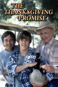 The Thanksgiving Promise 1986 on netflix