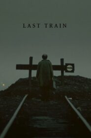 Last Train 2010 on netflix
