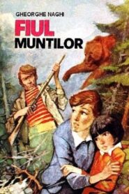 Son of the Mountains 1981 on netflix