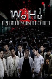 Wo Hu 2006 on netflix