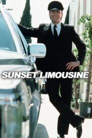Sunset Limousine 1983 on netflix