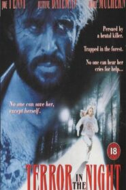 Terror in the Night 1994 on netflix