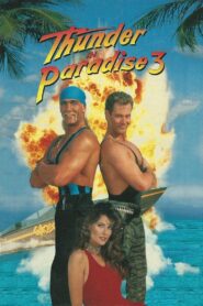 Thunder in Paradise 3 1995 on netflix