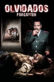 Forgotten 2014 on netflix