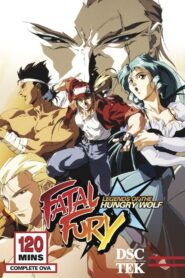 Fatal Fury: Legend of the Hungry Wolf 1992 on netflix