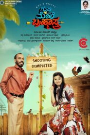 Gubbi Mele Brahmastra 2019 on netflix