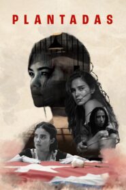 Plantadas 2023 on netflix