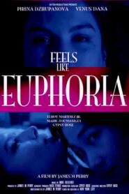 Feels Like Euphoria 2017 on netflix