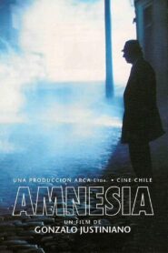 Amnesia 1994 on netflix
