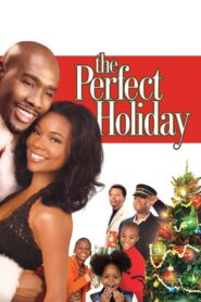The Perfect Holiday 2007 on netflix