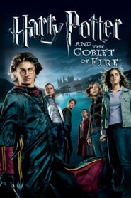 Harry Potter and the Goblet of Fire 2005 on netflix