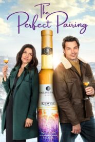 The Perfect Pairing 2022 on netflix
