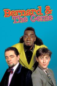 Bernard and the Genie 1991 on netflix