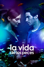 The Life of Fish 2010 on netflix
