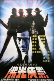 佛光侠影 1990 on netflix