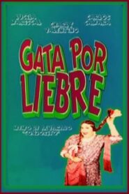 Gata por liebre 1992 on netflix