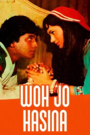 Woh Jo Hasina 1983 on netflix