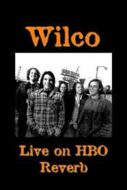 Wilco: Live on HBO Reverb 1997 on netflix