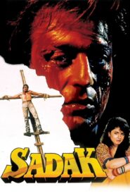 Sadak 1991 on netflix