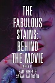 The Making of Ladies and Gentlemen, Fabulous Stains 1999 on netflix